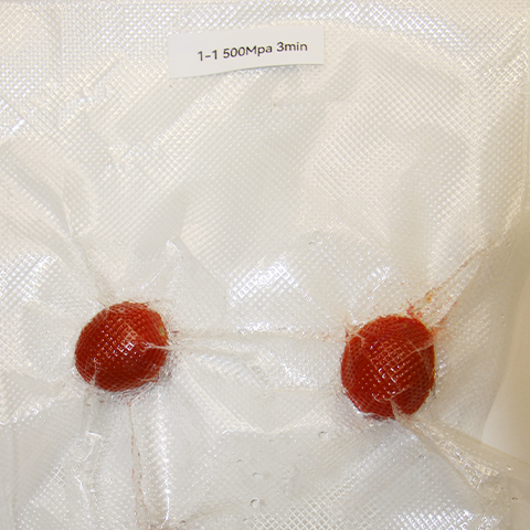 HPP低温真空包装冷冻水果等榴莲泥食品灭菌SFU600-127L ⽣产设备